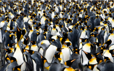 Lektion 2 – Psychologische Sicherheit